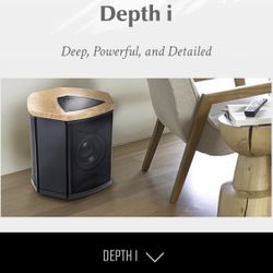 Martin Logan Deep, Powerful, and Detailed Subwoofer 