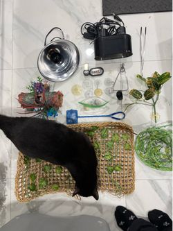Miscellaneous Reptile Accessories