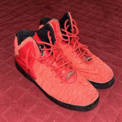 LeBron Nikes 9.5