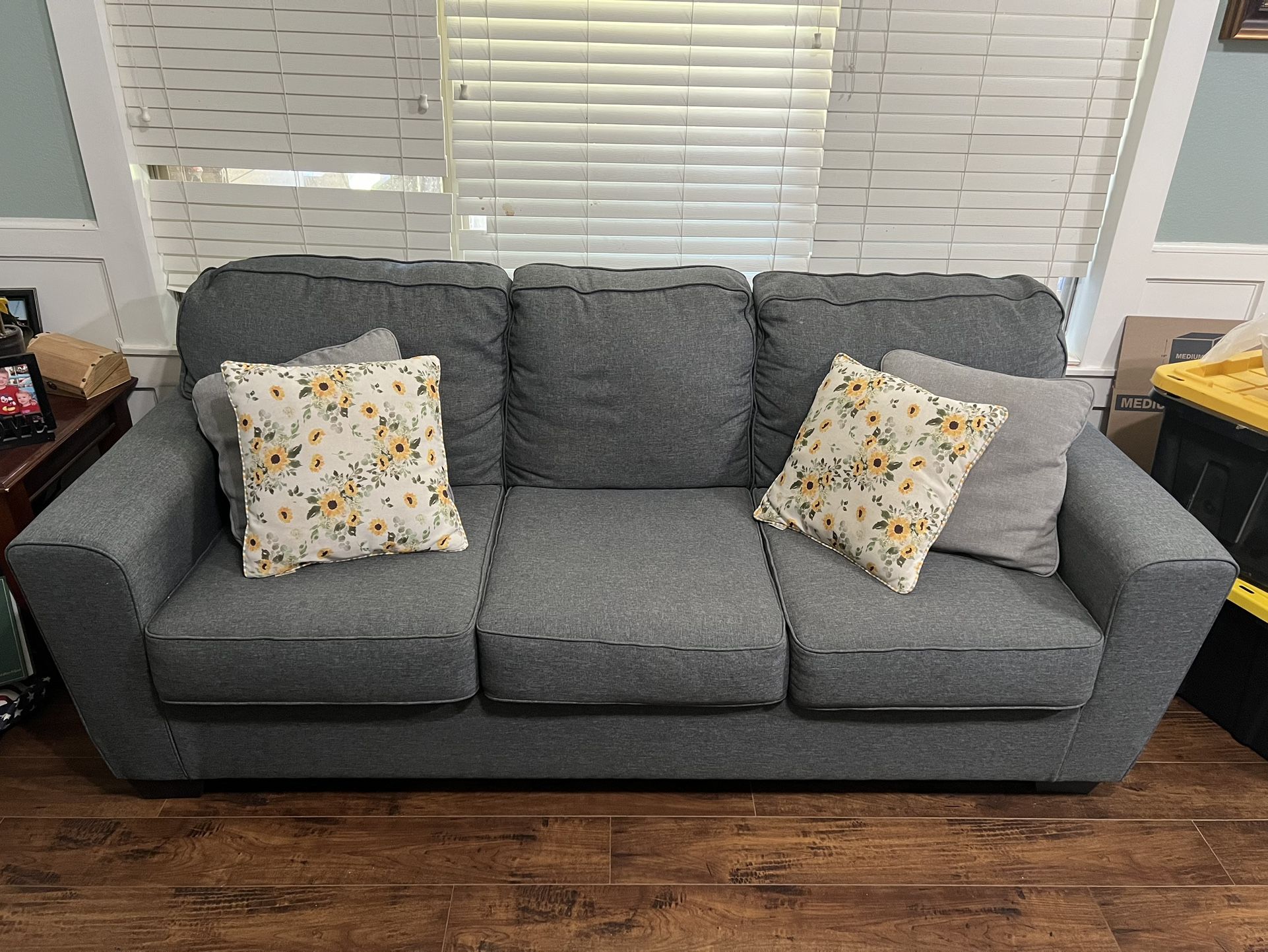 Grey/ Blue Couches