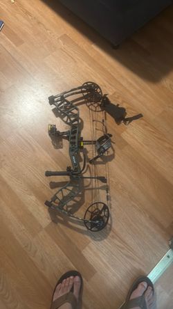 Compound bow bear