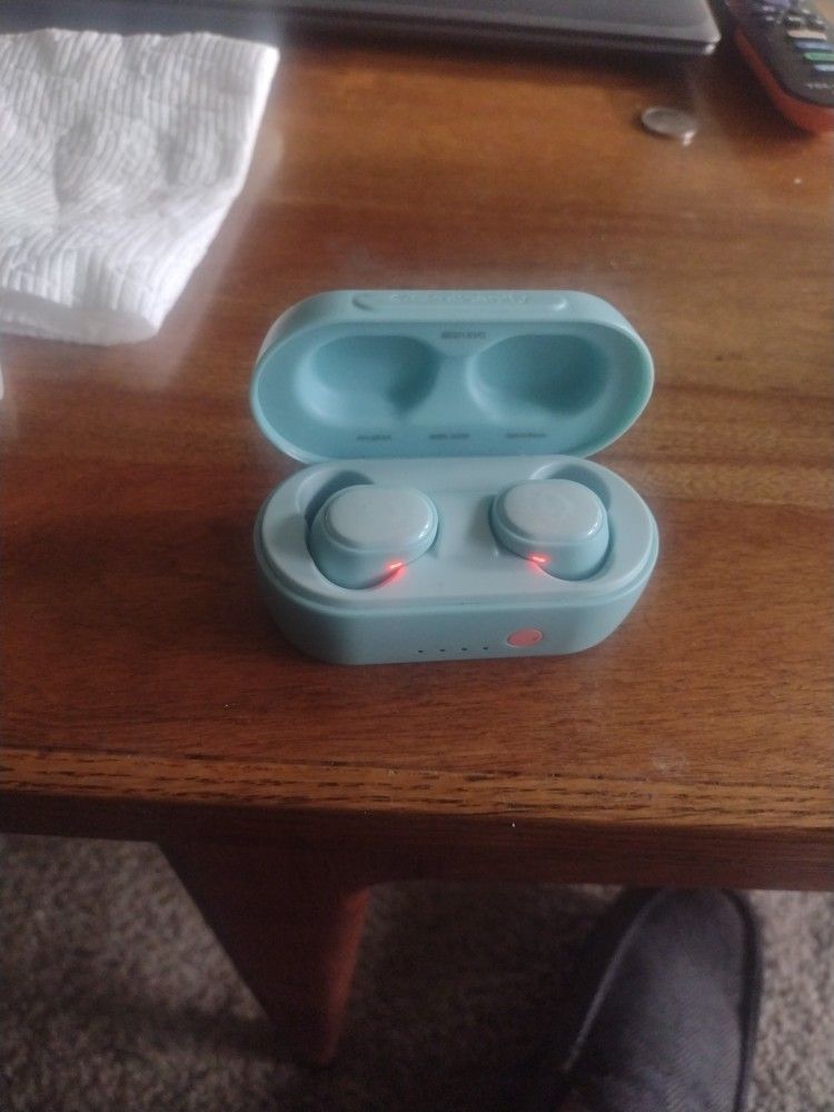 Skullcandy Ear Buds