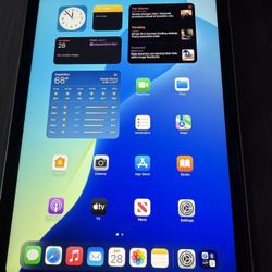 Silver iPad 10th Gen 256 Gigs WiFi and Cellular 