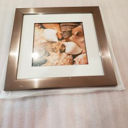 Sea Shells Artwork 19 X 19 And A Bag Of Sea Shells