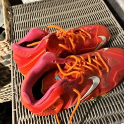 LeBron Fruity Pebbles Size 5