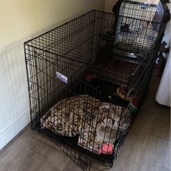 XL dog Crate