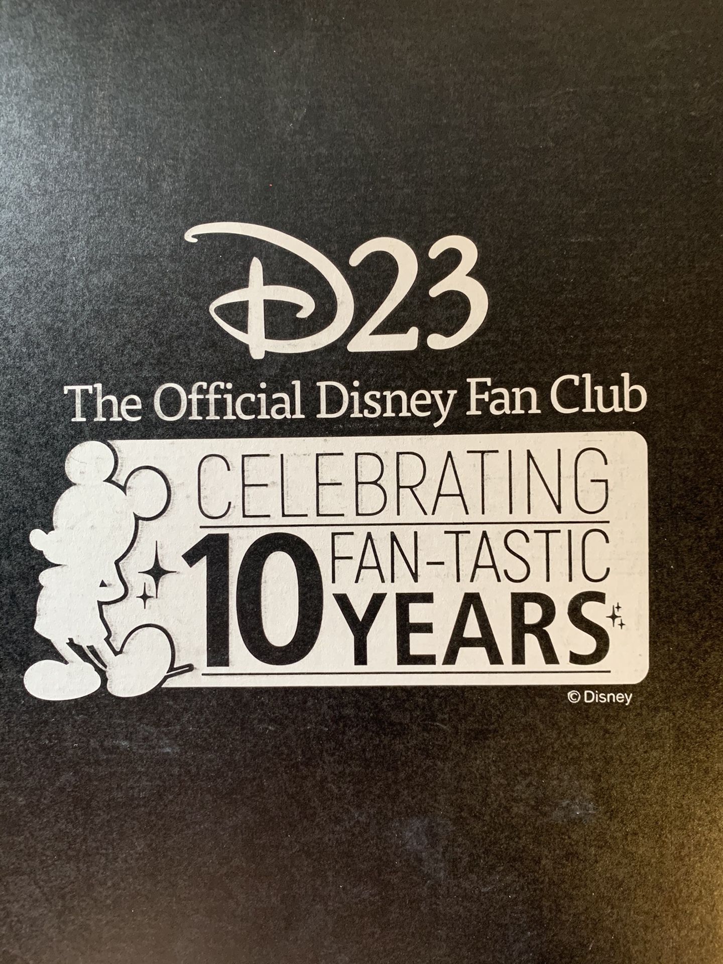 Disney D23 2019 Fan Club 10 Pins