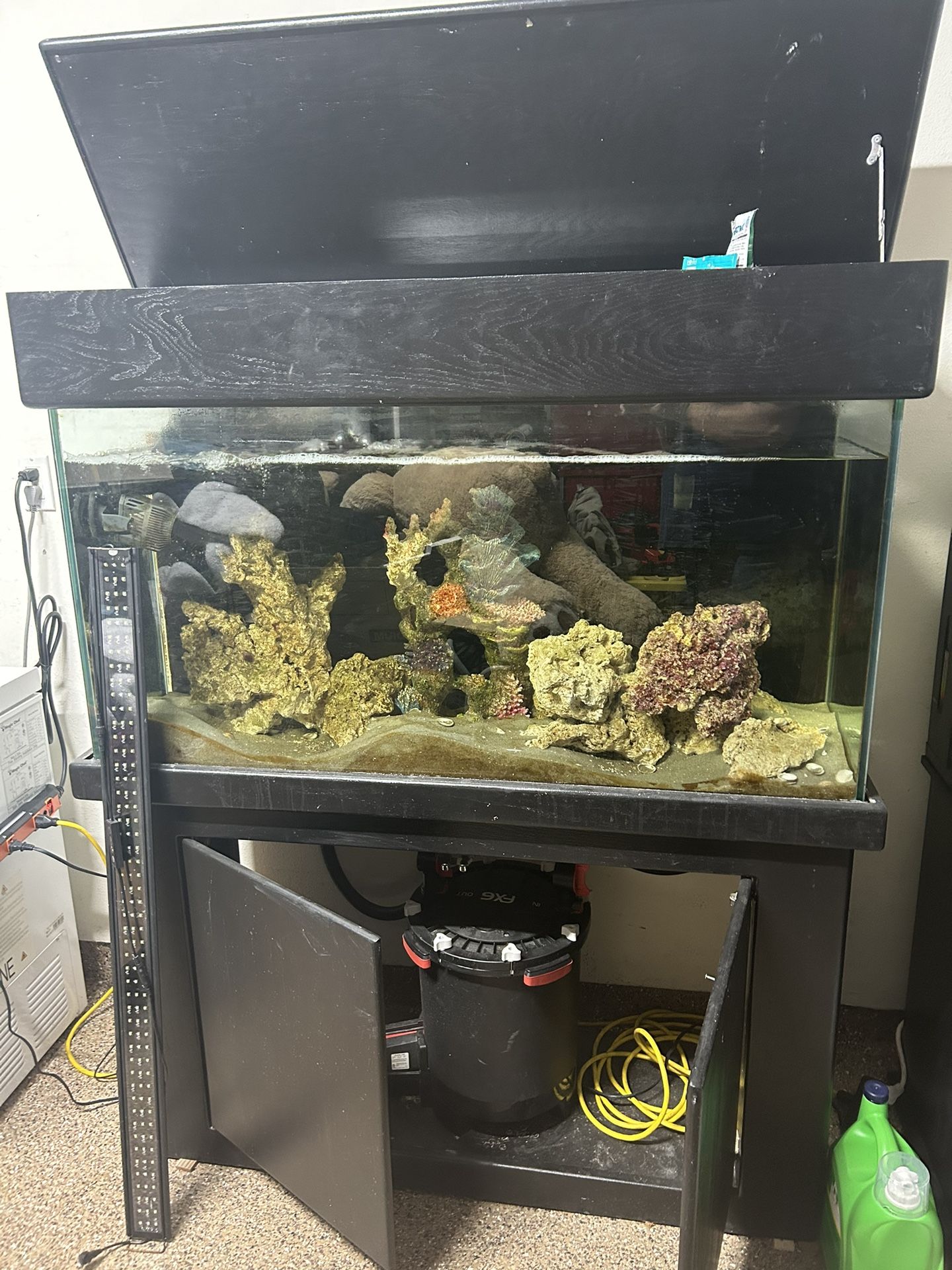 Aquarium and Fish Tank