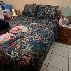 Queen Bed Box Spring And Mattress 100!