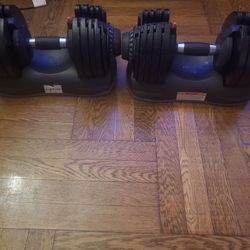 Please, by the grace of God of MOGPA  the adjustable dumb bells are in perfect condition