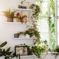 Wall shelf ikea