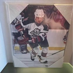 Buffalo Sabres Rob Ray 8x10 Plaque 