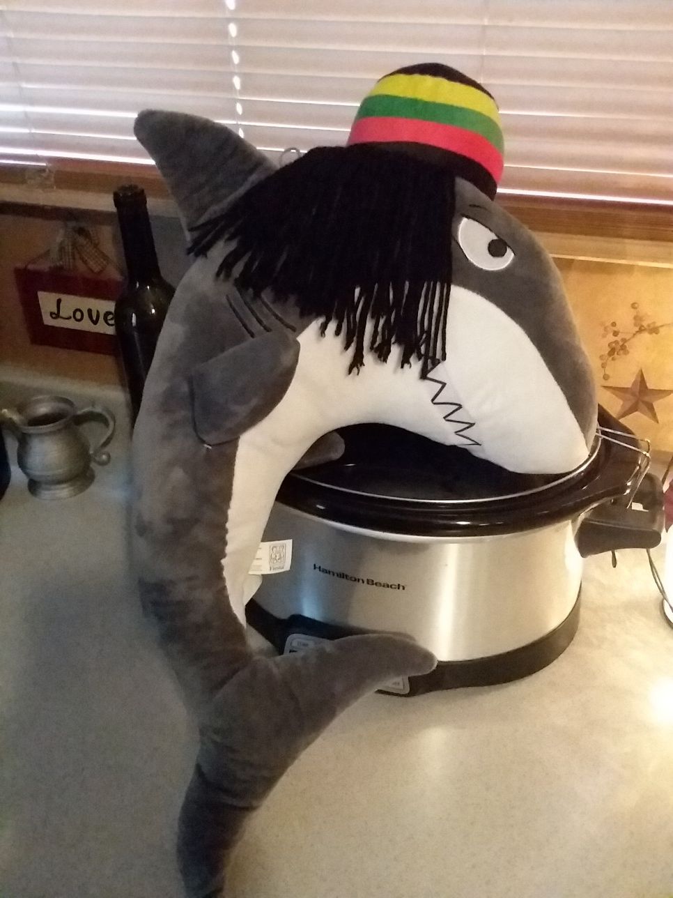 New Rasta Shark