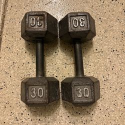 30lbs Dumbbells Pair