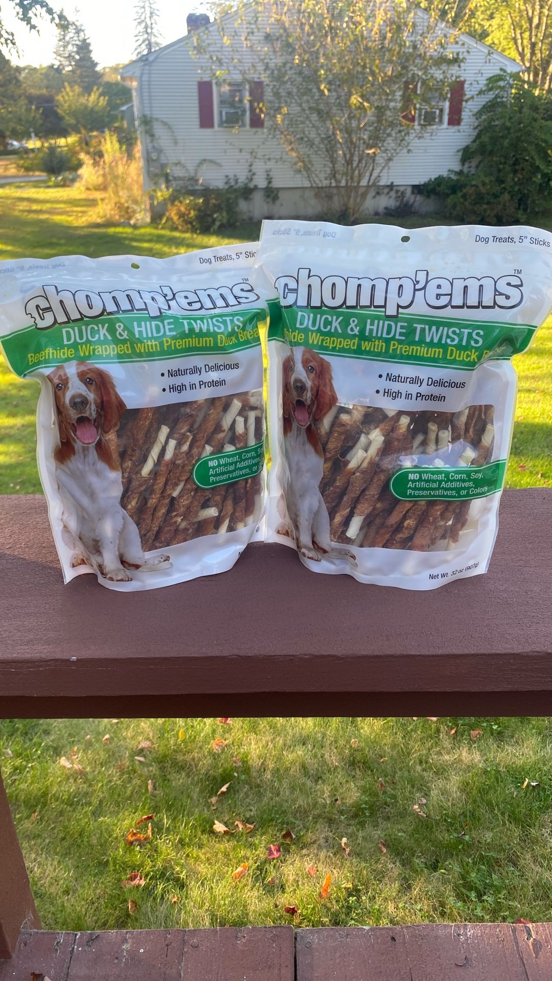 Dog Treats