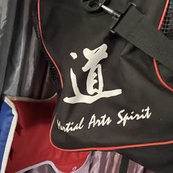 Tai Kwan Do Pads Helmet And Bag. Excellent Condition. Children’s Large