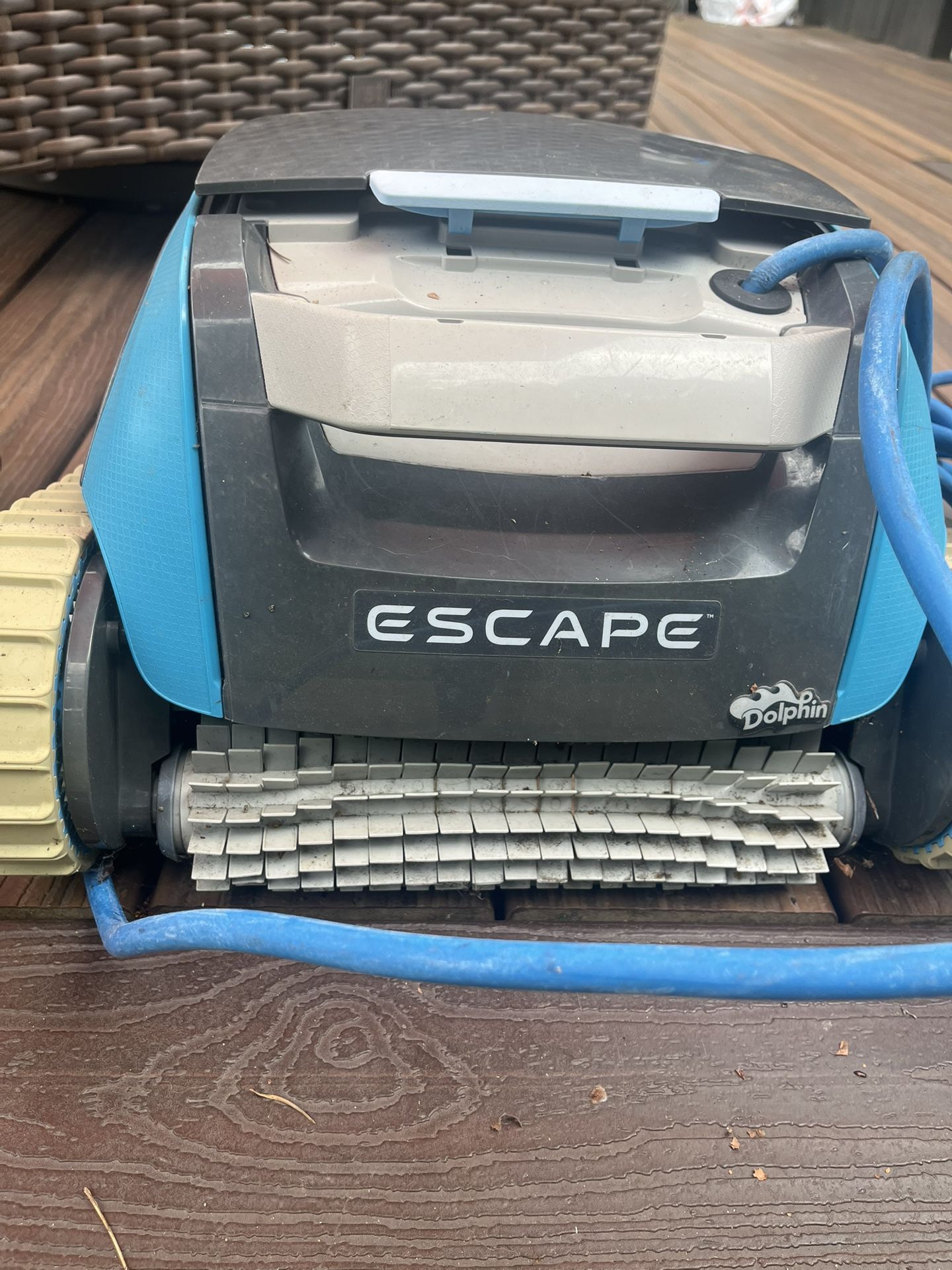 Dolphin Pool Vacuum