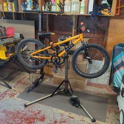 Raleigh Rowdy 20 20" Kids Mountain Bike