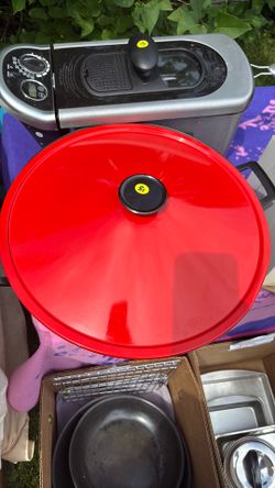 Electric wok and deep fryer