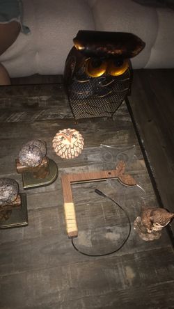 Owl-Themed Decor Collection