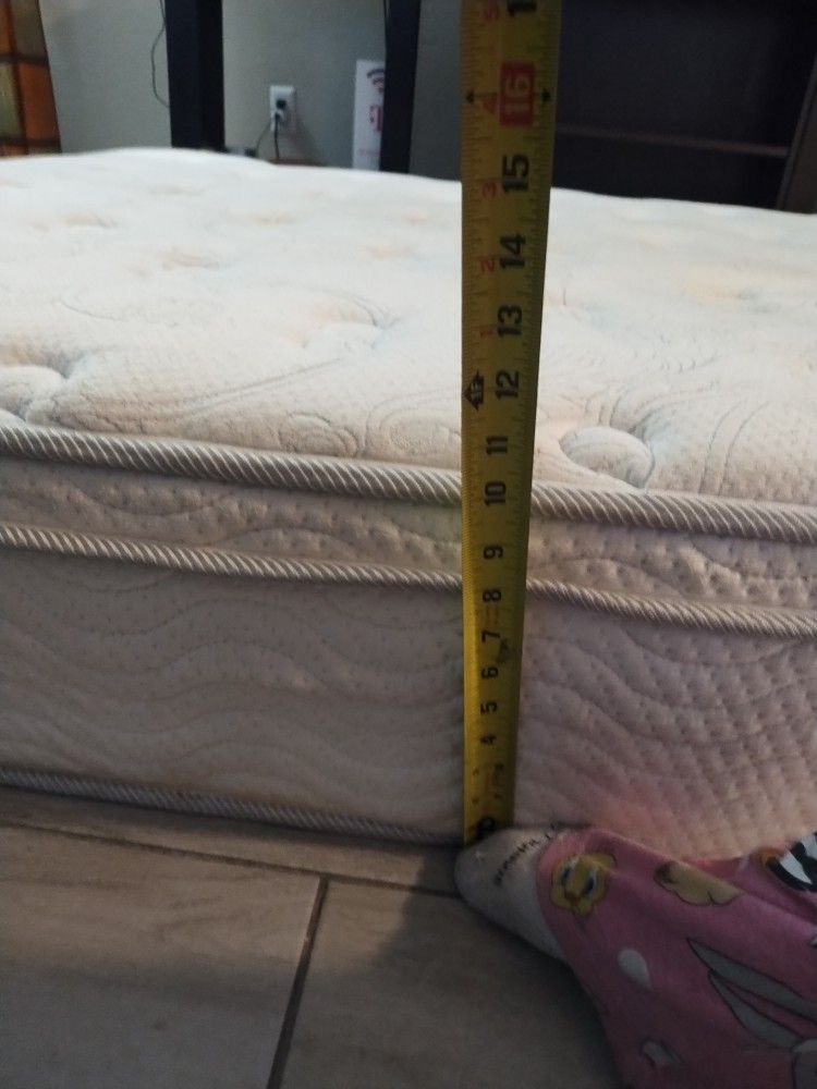 Full Size Mattress