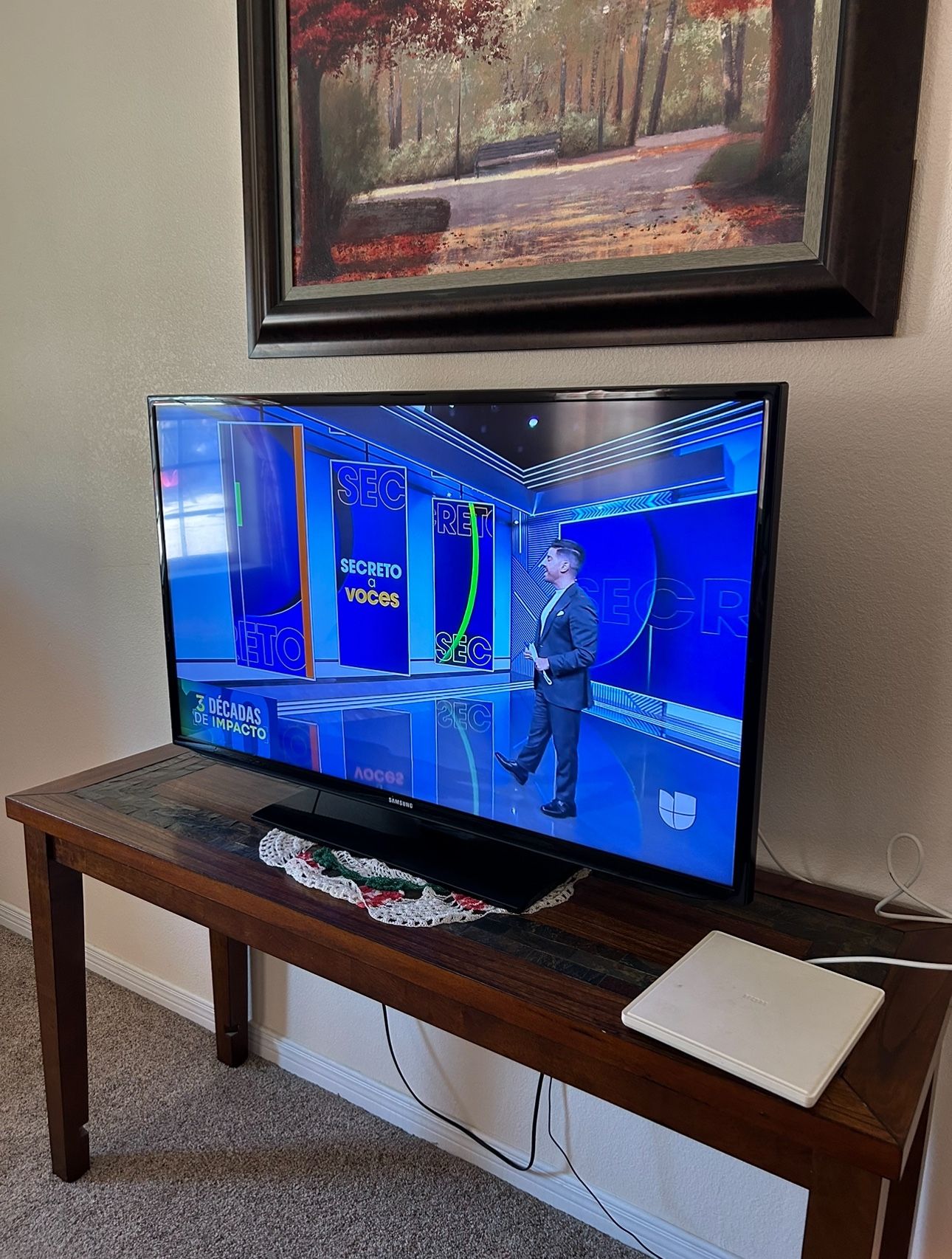 Samsung 42 In TV