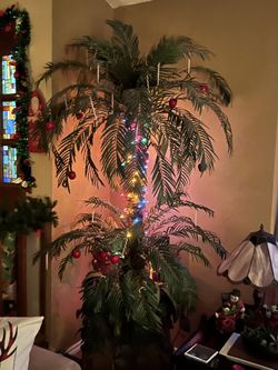 Palm Tree With Woven Rattan Planter Box