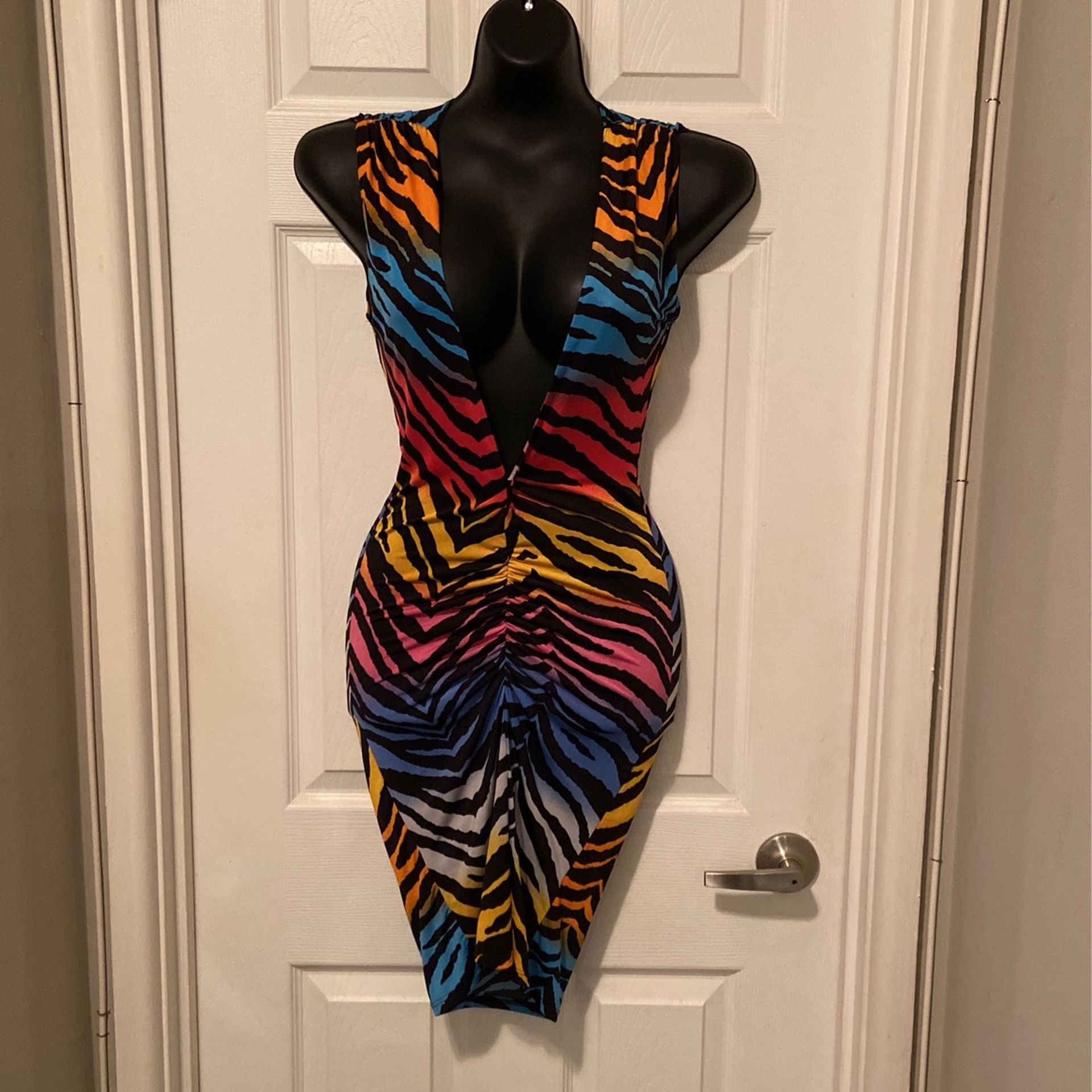 Rainbow Zebra Stripped Party Dress