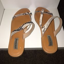 Steve Madden