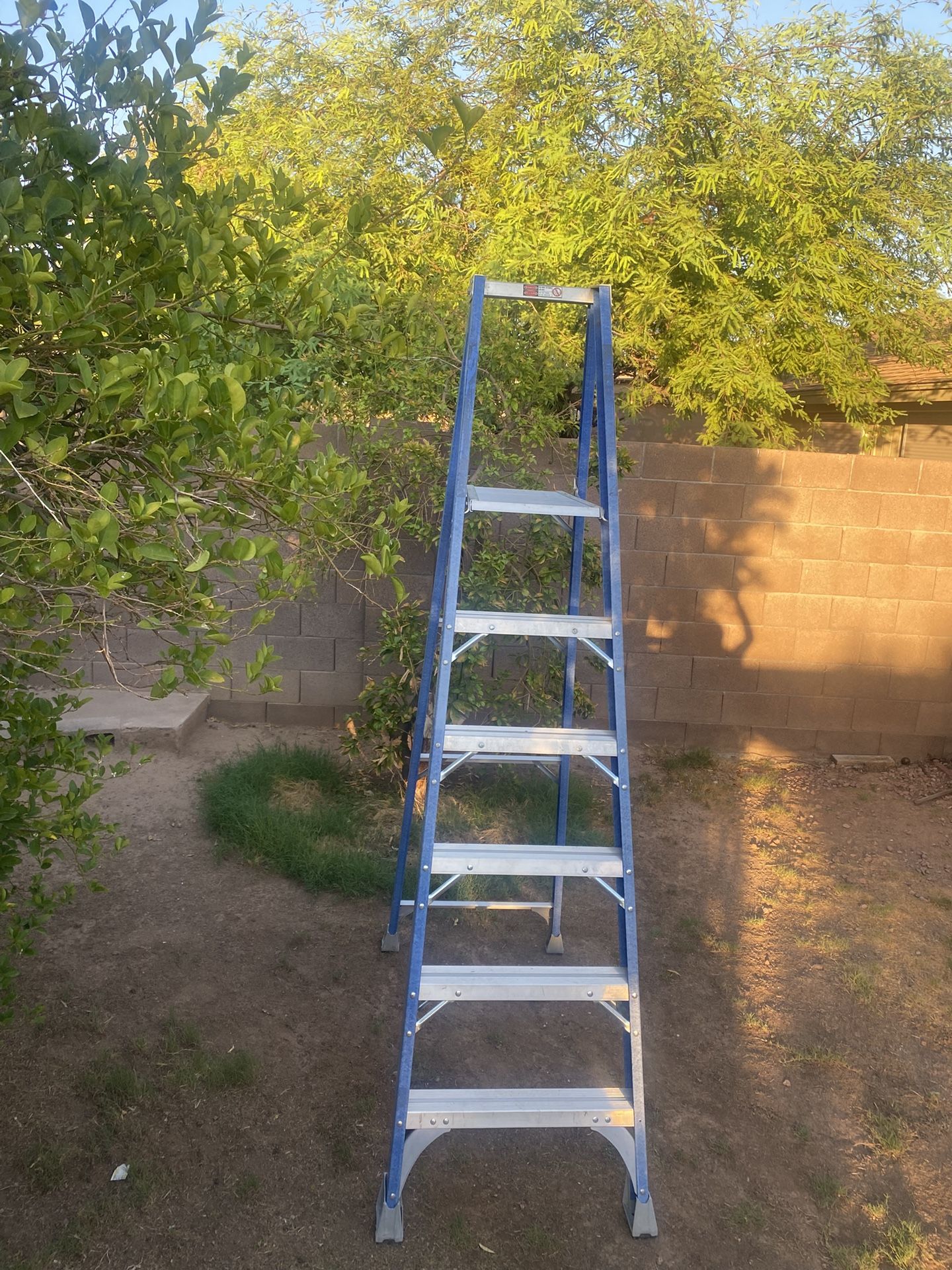 Plarform Ladder 6Ft