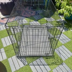 XL 42” Collapsable Dog Crate