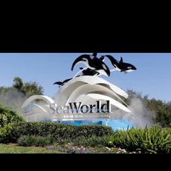 Seaworld Orlando