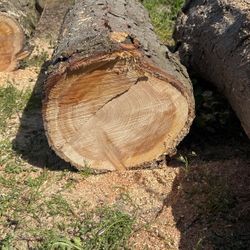 Firewood