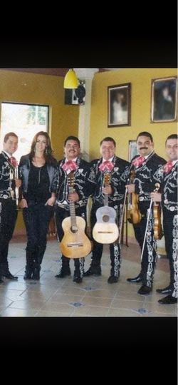 Mariachi violin guitarra