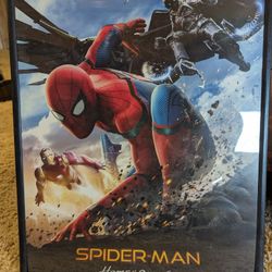 Spider man framed photo