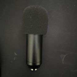 XLR Microphone