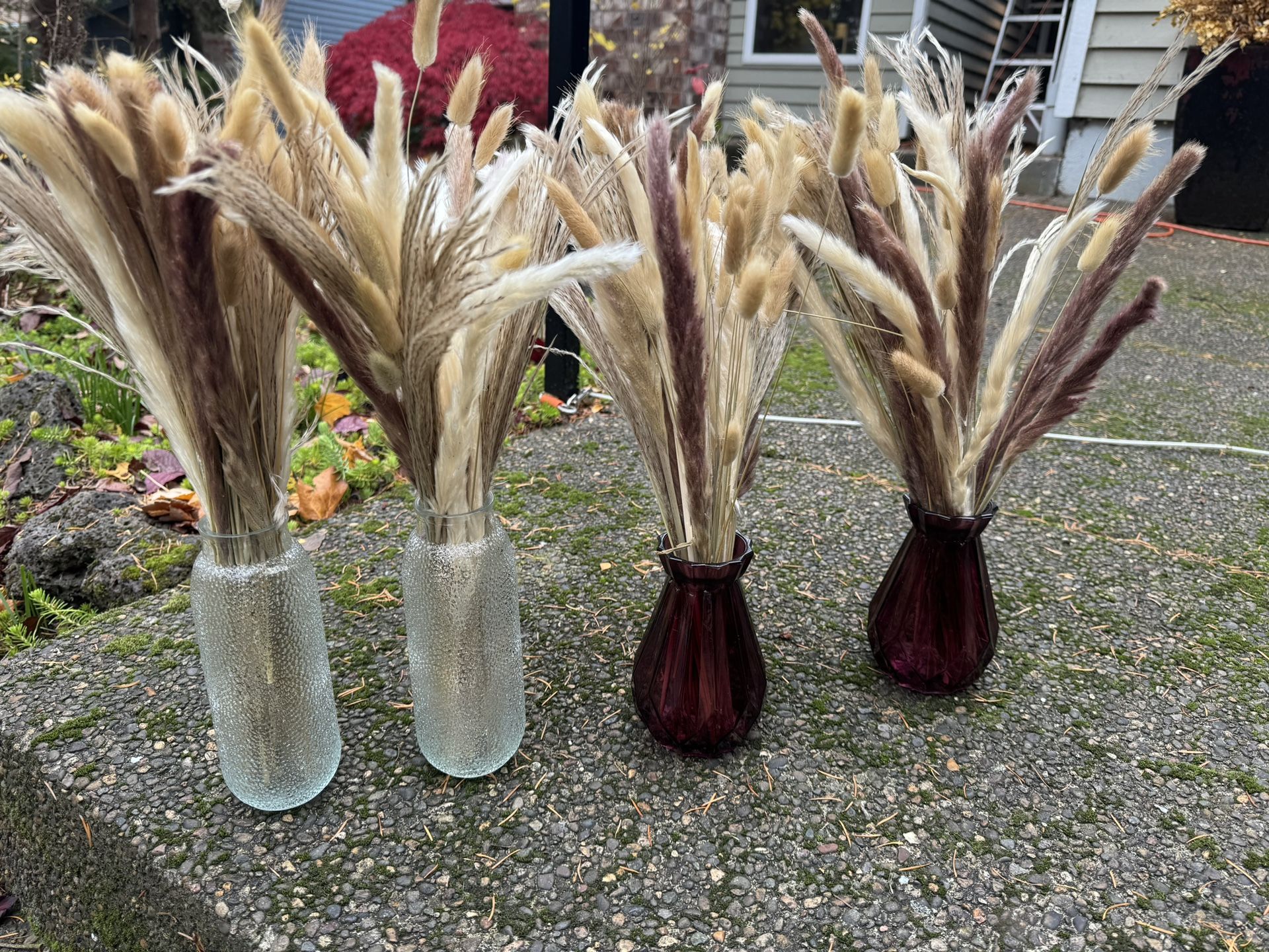 Dried Pampas Grass & Other Grasses