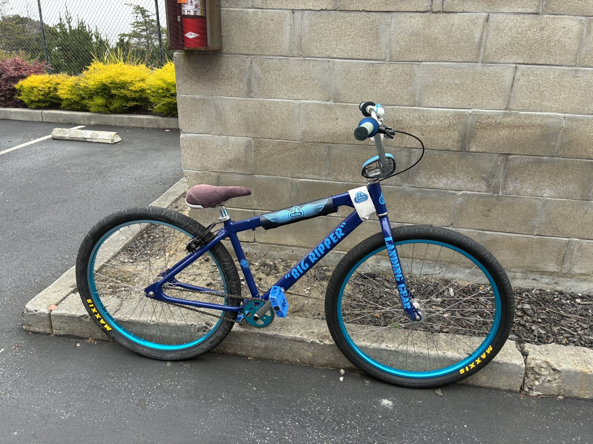 2015 Big Ripper SE Bike (Factory Stock)