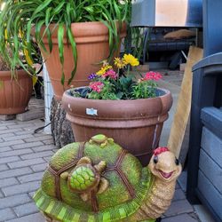 Large Family Turtle