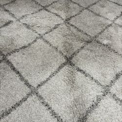 Indoor Large Area Rug