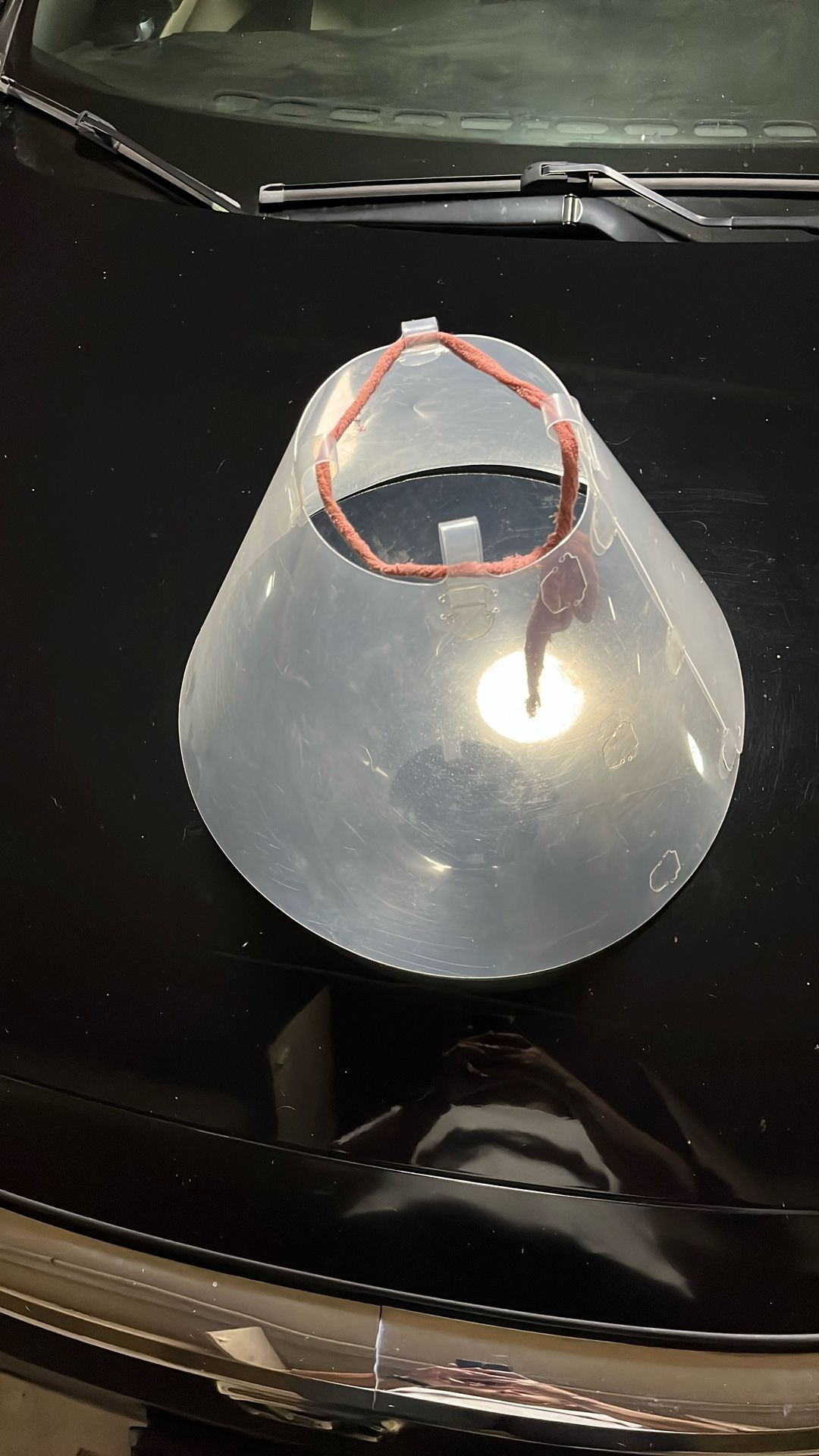 E Collar For Large Dog