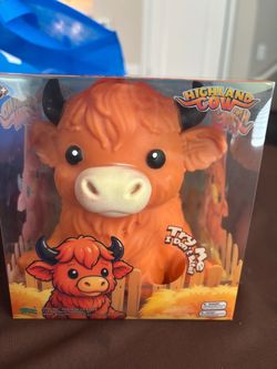 Highland cow