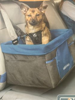 Dog Car Seat