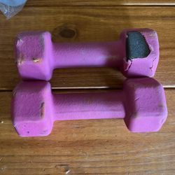 5 Lb Dumbbells 