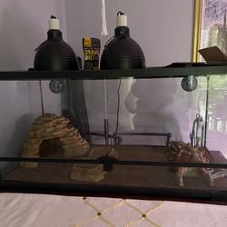 Lizard Tank 36x18