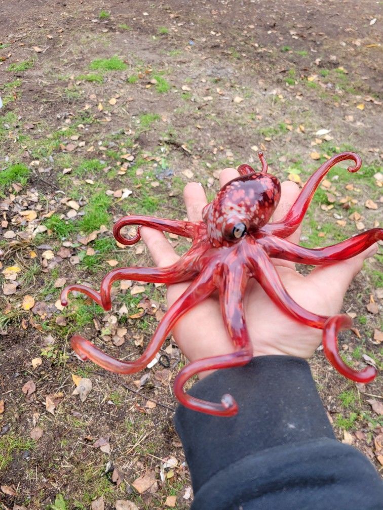 Glass Octopus