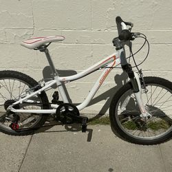 Specialized 20in MTB 
