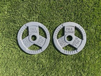 25lb Weight Plates