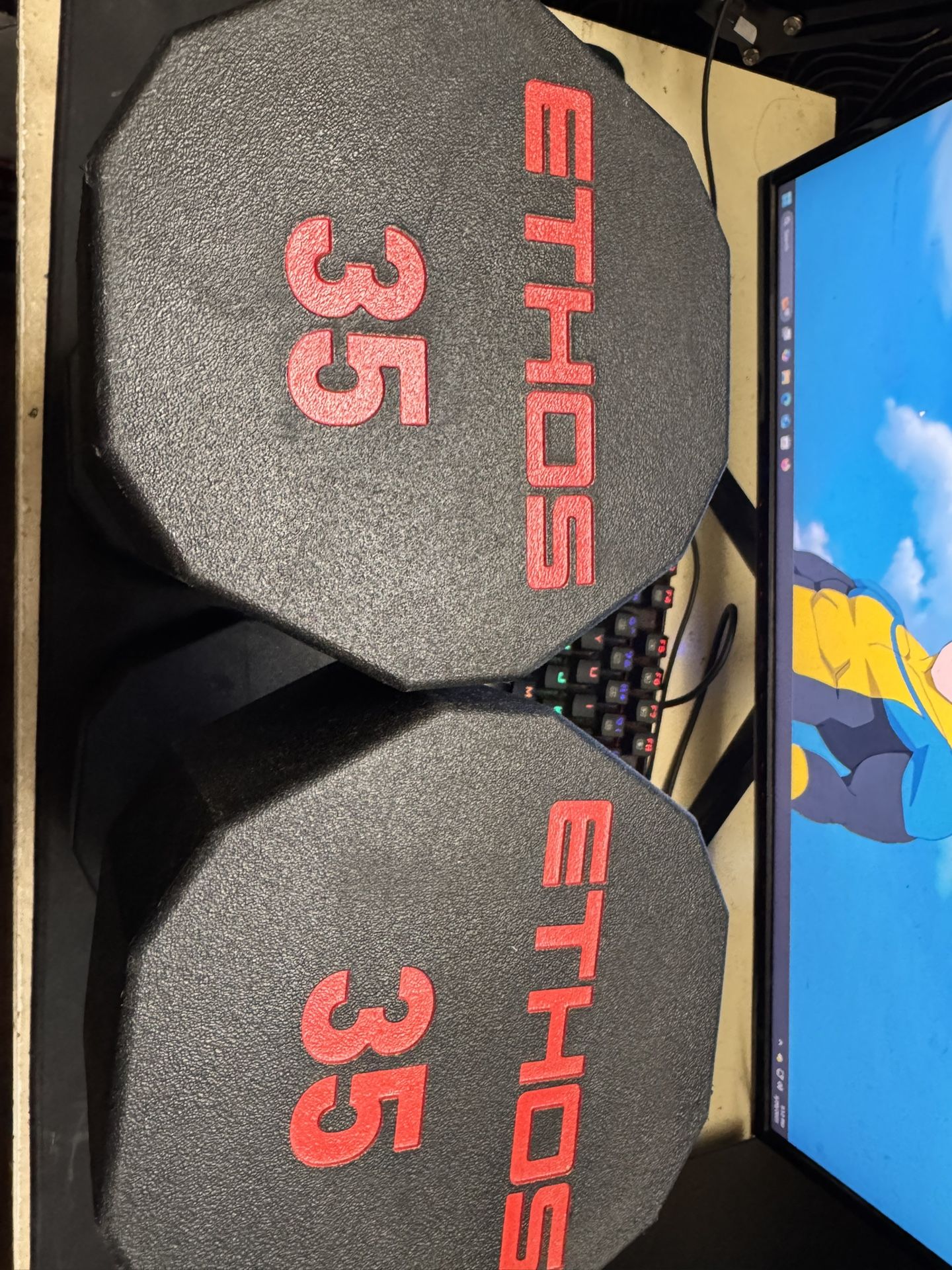 ETHOS 35 lb Dumbbells (Pair) - Barely Used