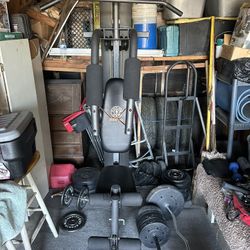 Golds Gym Xrs 50 Weight Bench 